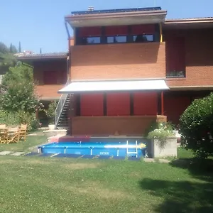 Abete Verona